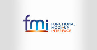 Functional Mock-up Unit Types